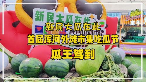 朝阳号外官网免费吃瓜 每日大赛,朝阳号外官网邀您免费吃瓜，共享欢乐盛宴