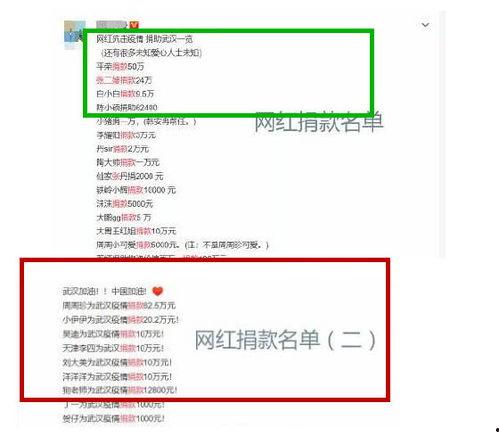 明星资讯号是什么 网红大瓜文件docx,网红大瓜文件背后的秘密