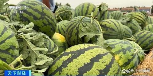 热门大瓜每日必吃大瓜合集